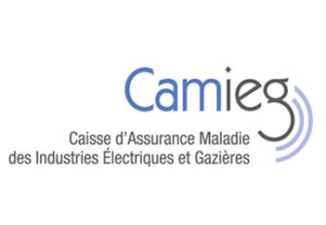 logo camieg